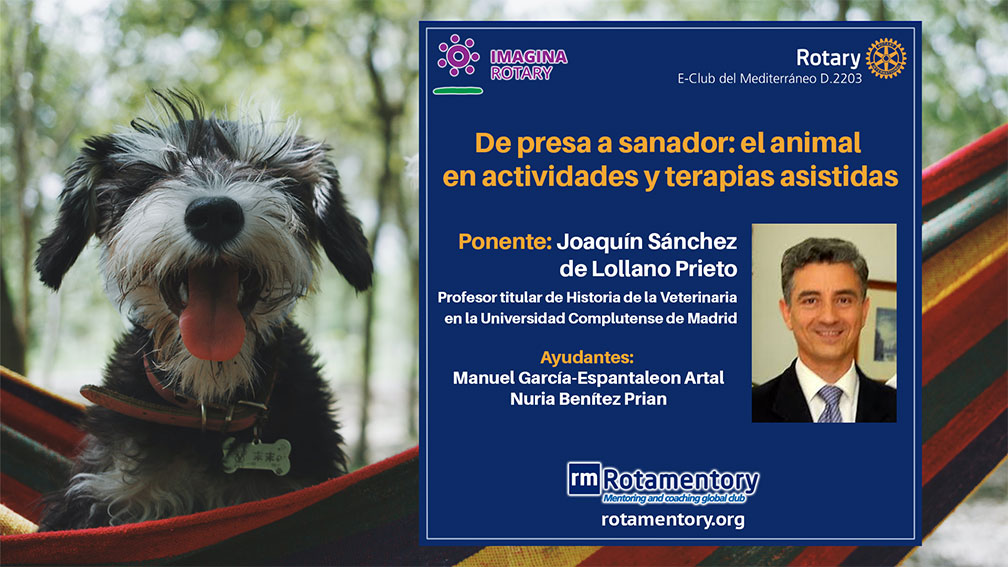 De presa a sanador: el animal en actividades y terapias asistidas, con Joaquín Sánchez de Lollano Prieto